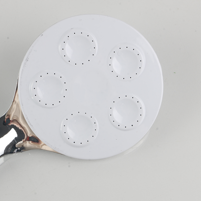 Cith beag barbarianb